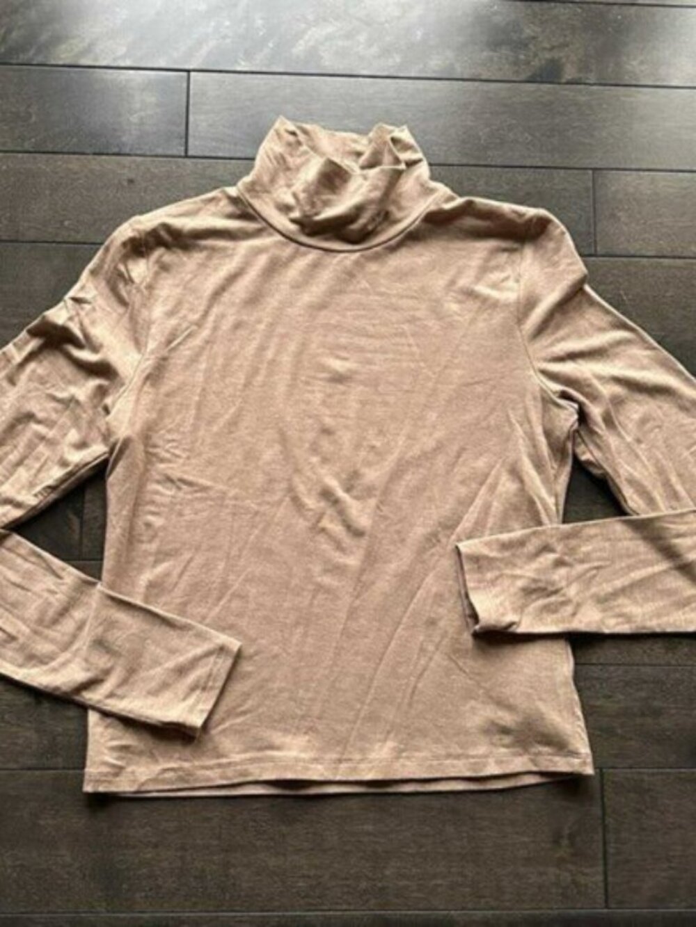 Aritzia Babaton Everyday Mock neck Long Sleeve Top